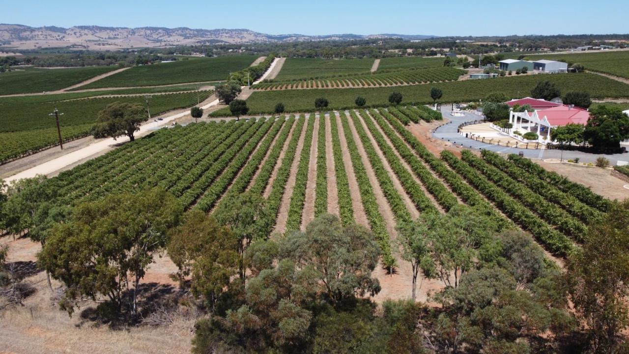 1837 Barossa Luxury Vineyard Cottages Lyndoch Exterior photo